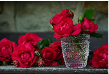 🌹 20 Beautiful Rose Dream Interpretations, rose dream meaning, dream of receiving roses, red rose dream, white rose dream, black rose dream, withered rose dream