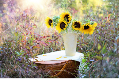Blooming sunflower dream symbolism