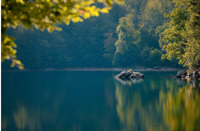 🌊 20 Profound Lake Dream Interpretations, lake dream, dream of swimming in a lake, dream of falling into a lake, dream of walking on a lake, dream of fishing in a lake, dream of clear lake, dream of stormy lake
