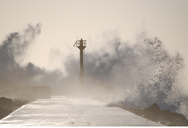 🌪️ 25 Powerful Typhoon Dream Interpretations, typhoon dream meaning, storm dream meaning, dream of strong wind, dream of natural disaster, emotional storm dream